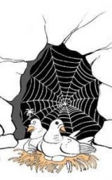 Cave-of-Thur-2-doves-and-Spider-web