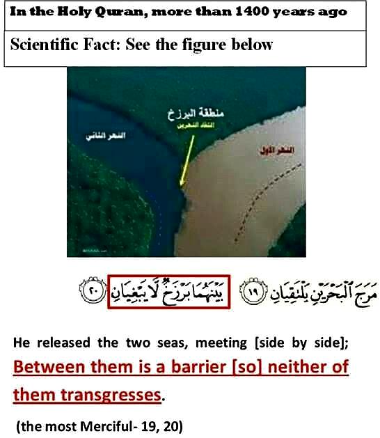 Quran and Science (11)