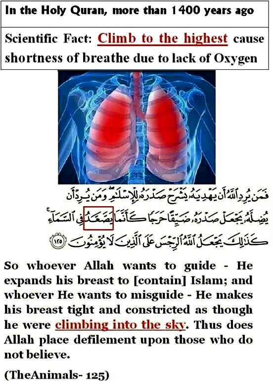 Quran and Science (25)