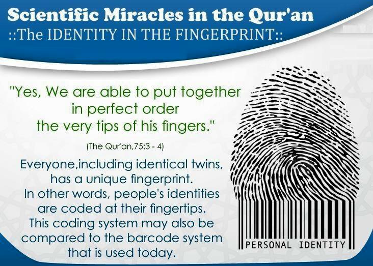 Quran and Science (3)